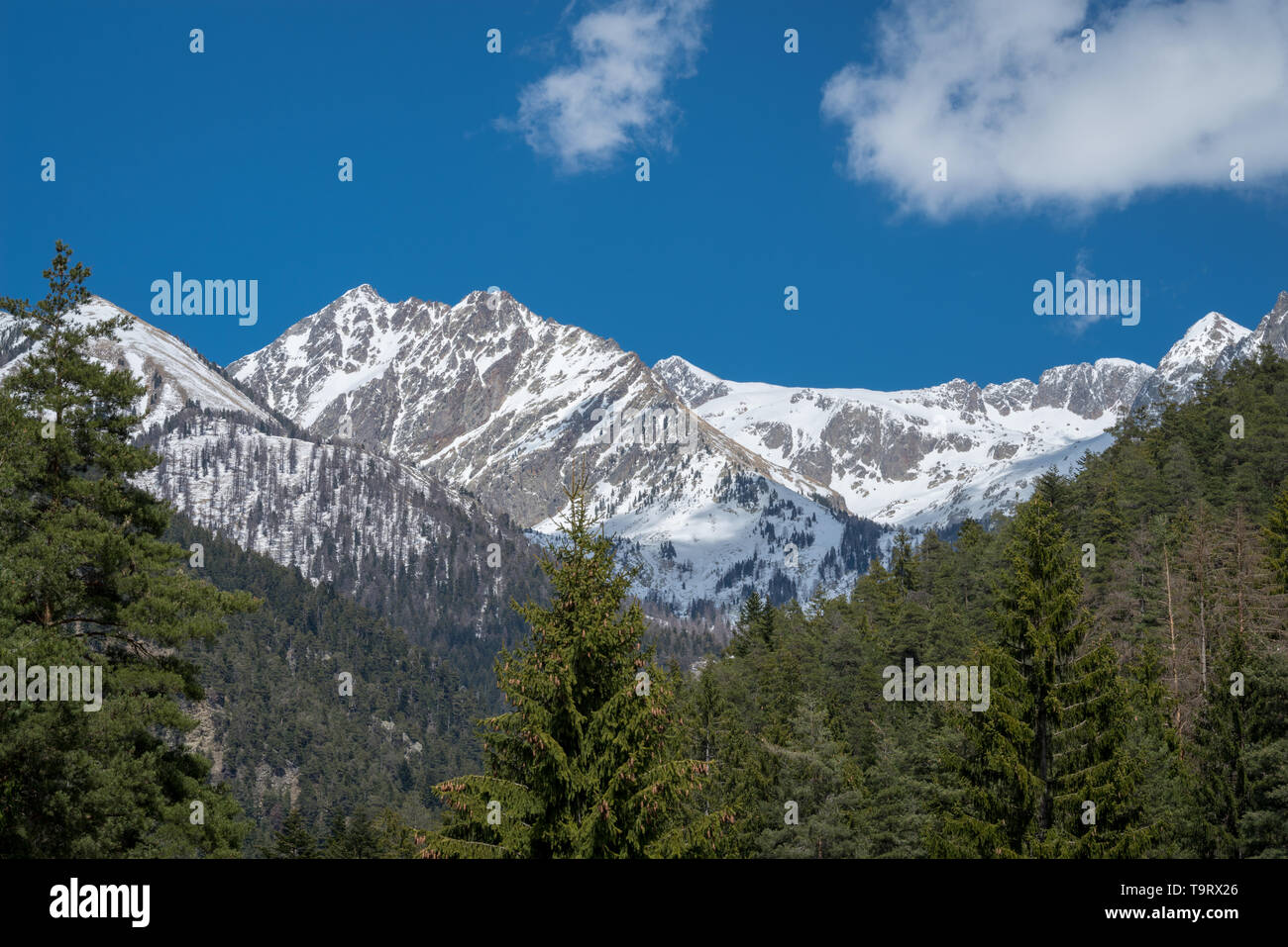 Alpes Maritimes, Parc National du Mercantour, France Banque D'Images