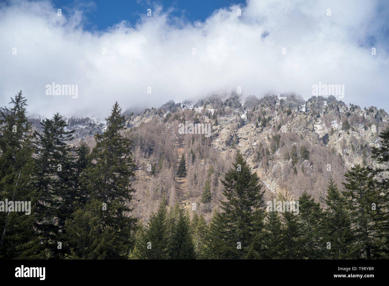 Alpes Maritimes, Parc National du Mercantour, France Banque D'Images