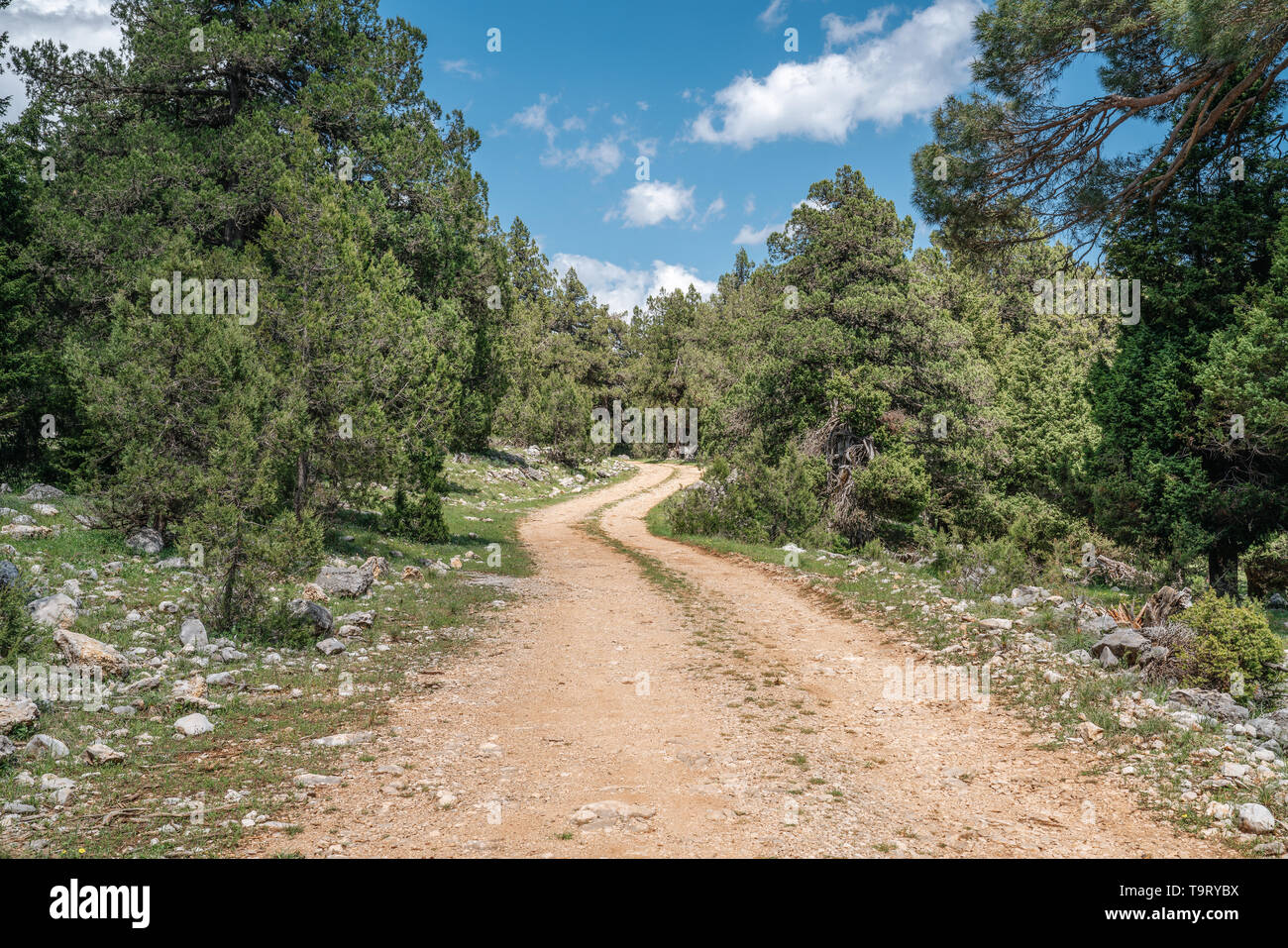 Paysage naturel magnifique, la montagne, la forêt et le chemin. Paysage naturel magnifique. Banque D'Images