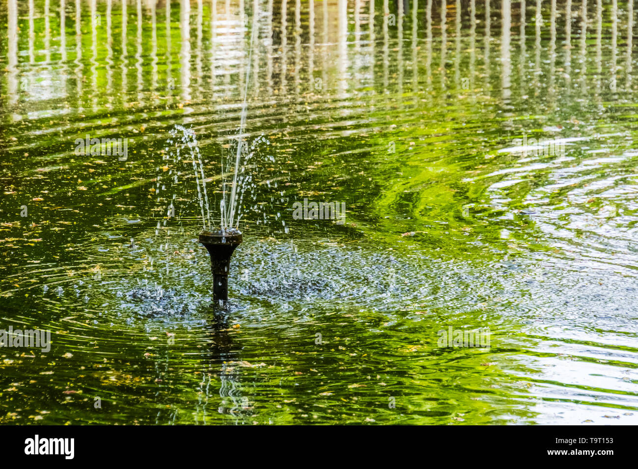 Fontaine d'eau, pulvériser de l'eau sprinkleur étang décorations pour le jardin Banque D'Images