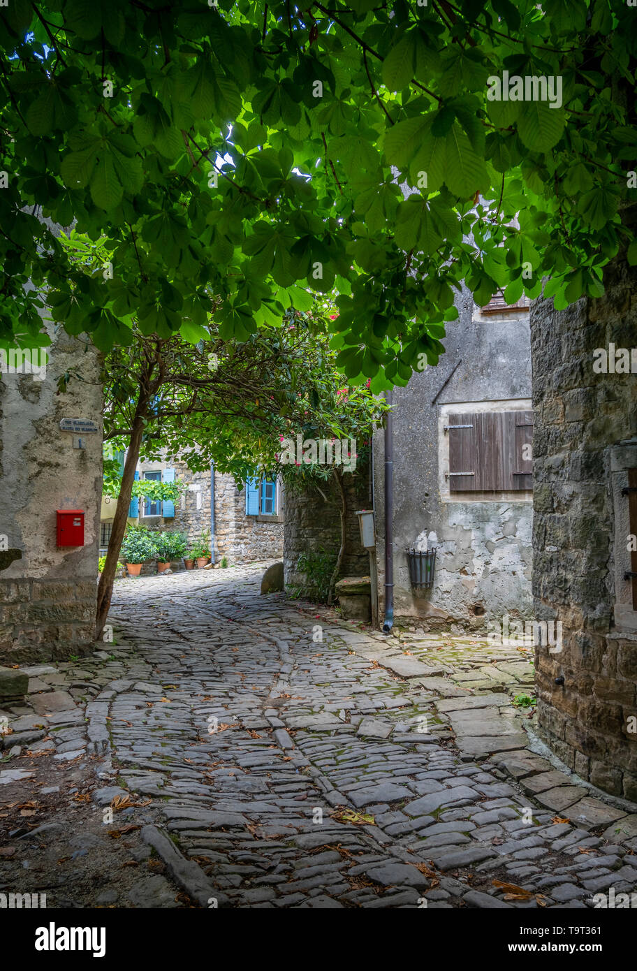 Place de l'artiste et le village de montagne de Groznjan, Rab, Croatie, Europe, Künstlerort und Bergdorf Groznjan, Kroatien, Europa Banque D'Images