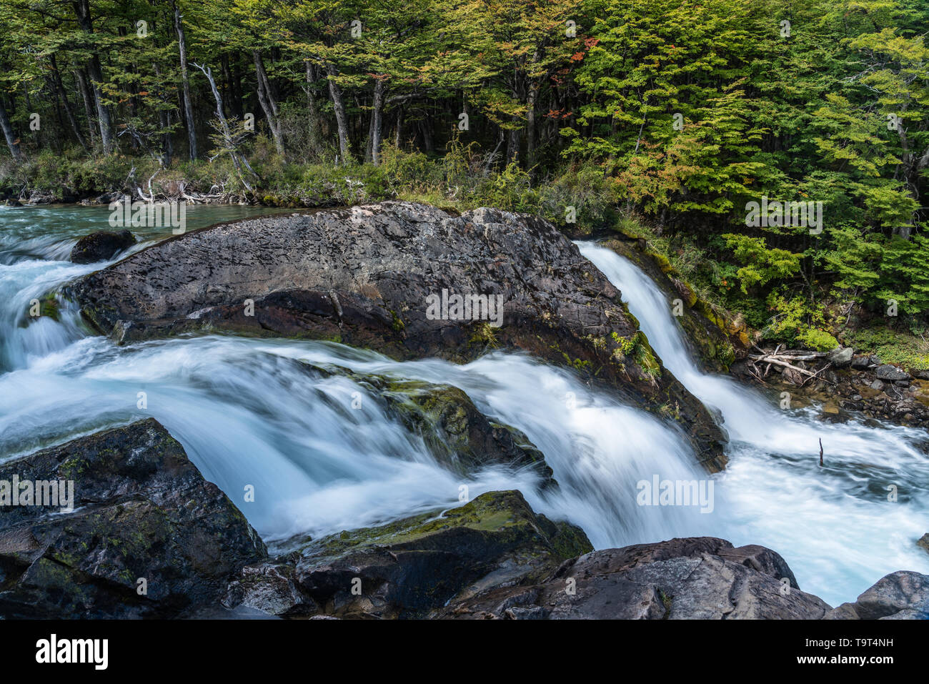 La Cascade de Salto Argentino sur le Rio de Las Vueltas, près d'El Chalten, l'Argentine, en Patagonie de l'Amérique du Sud. Banque D'Images