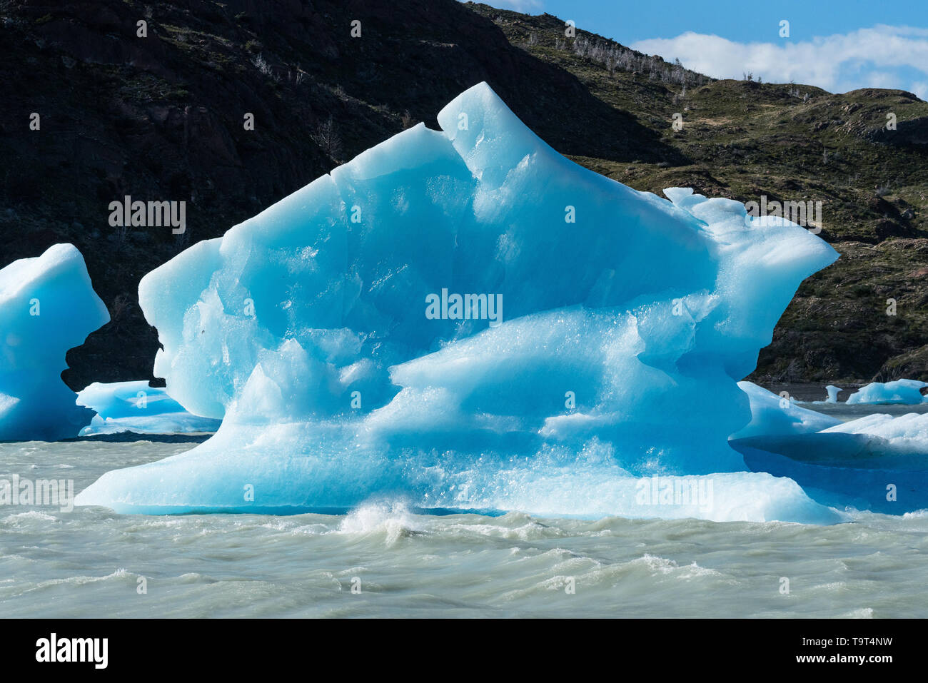 La glace flottante du Glacier Grey dans le lac Grey dans le Parc National Torres del Paine, une réserve mondiale de la biosphère de l'UNESCO au Chili en Patagonie o Banque D'Images