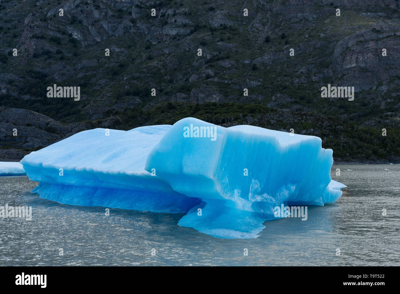 La glace flottante du Glacier Grey dans le lac Grey dans le Parc National Torres del Paine, une réserve mondiale de la biosphère de l'UNESCO au Chili en Patagonie o Banque D'Images