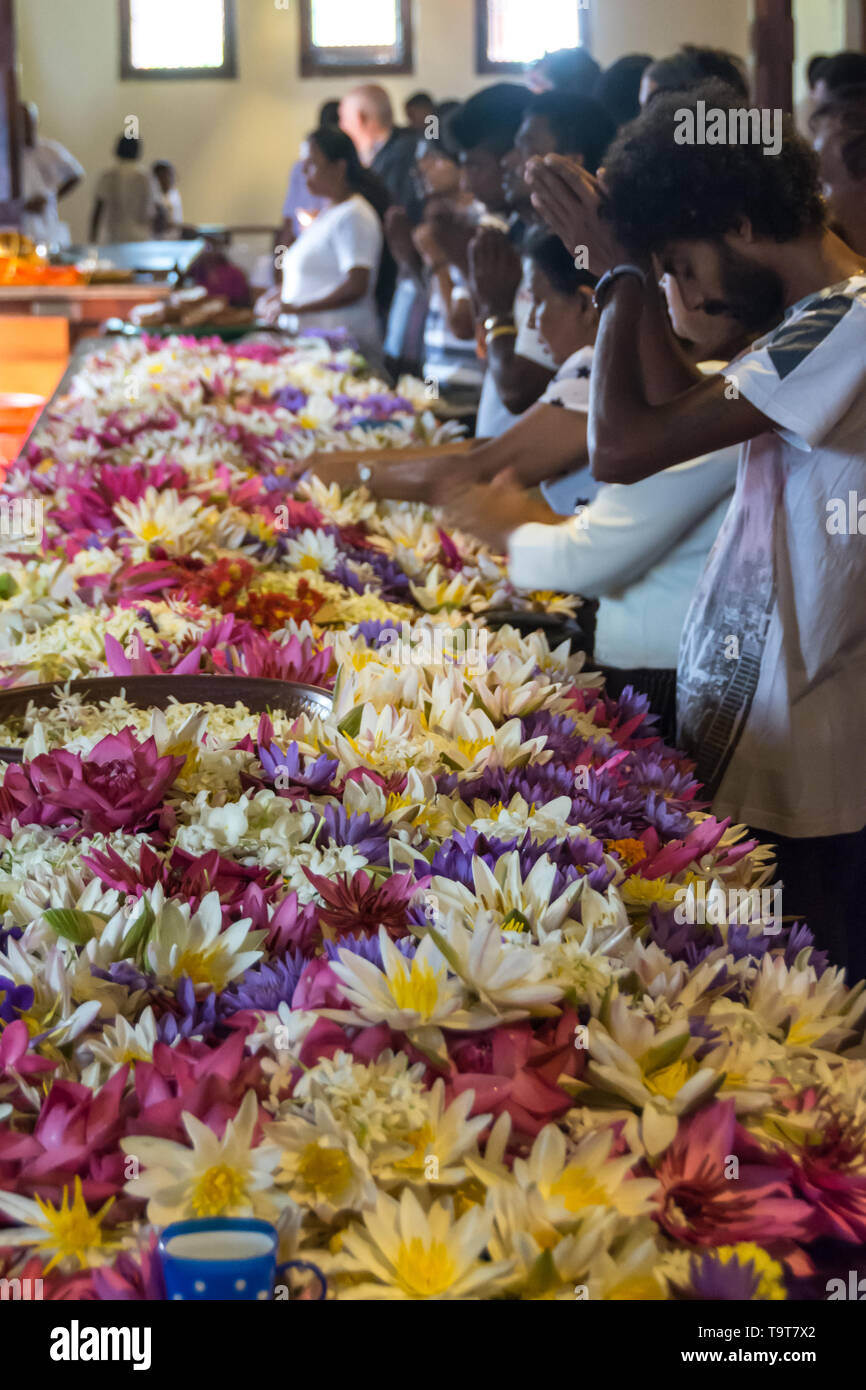 Les fidèles présents dans les principales offres de fleurs de culte du Temple de la Dent à Kandy, Sri Lanka. Banque D'Images
