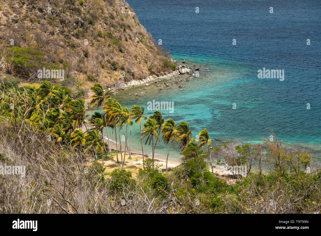 Halbinsel Pain de sucre, île de Terre-de-Haut, Les Saintes, Guadeloupe, Caraïbes, Frankreich | Pain de sucre, île de Terre-de-Haut, Les Saintes, Banque D'Images