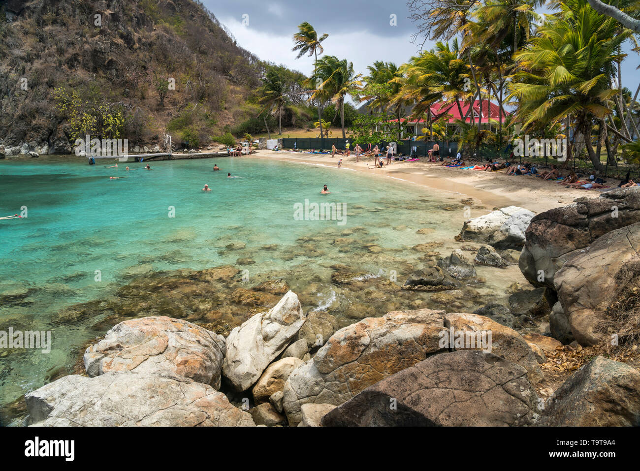 Strand plage du Pain de sucre, île de Terre-de-Haut, Les Saintes, Guadeloupe, Caraïbes, Frankreich | Plage du Pain de sucre, plage de Terre-de-Haut, Les Banque D'Images