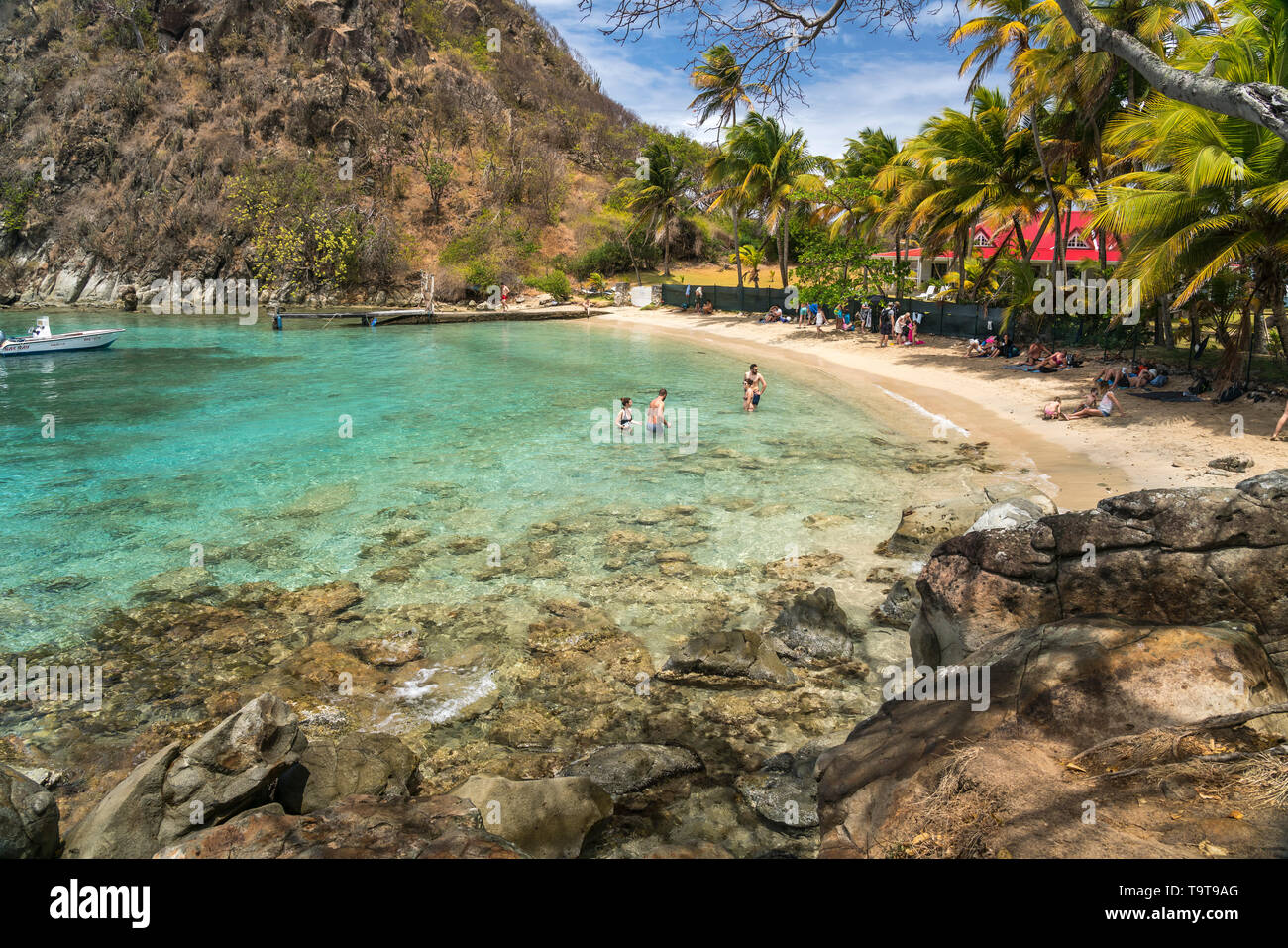 Strand plage du Pain de sucre, île de Terre-de-Haut, Les Saintes, Guadeloupe, Caraïbes, Frankreich | Plage du Pain de sucre, plage de Terre-de-Haut, Les Banque D'Images