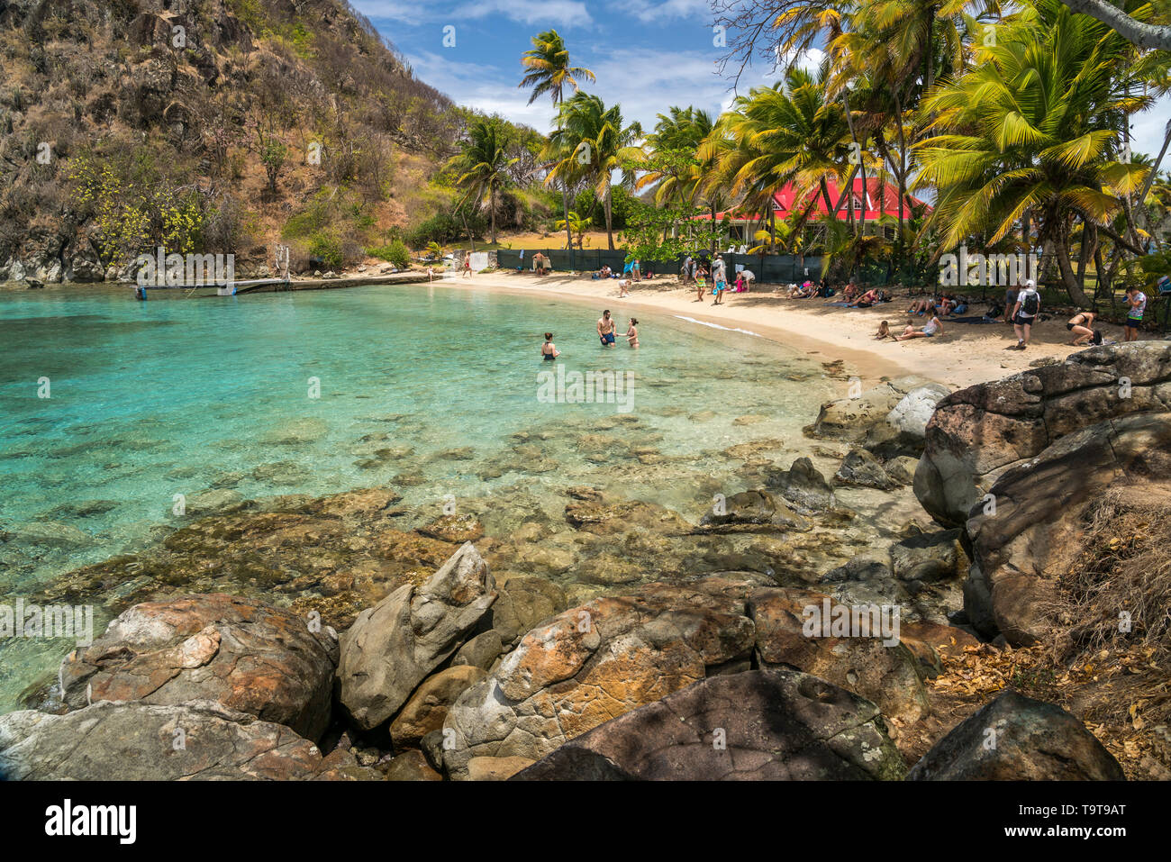 Strand plage du Pain de sucre, île de Terre-de-Haut, Les Saintes, Guadeloupe, Caraïbes, Frankreich | Plage du Pain de sucre, plage de Terre-de-Haut, Les Banque D'Images