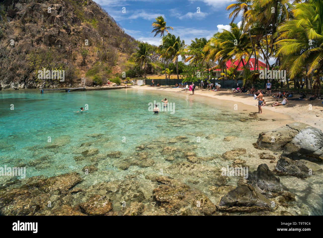 Strand plage du Pain de sucre, île de Terre-de-Haut, Les Saintes, Guadeloupe, Caraïbes, Frankreich | Plage du Pain de sucre, plage de Terre-de-Haut, Les Banque D'Images