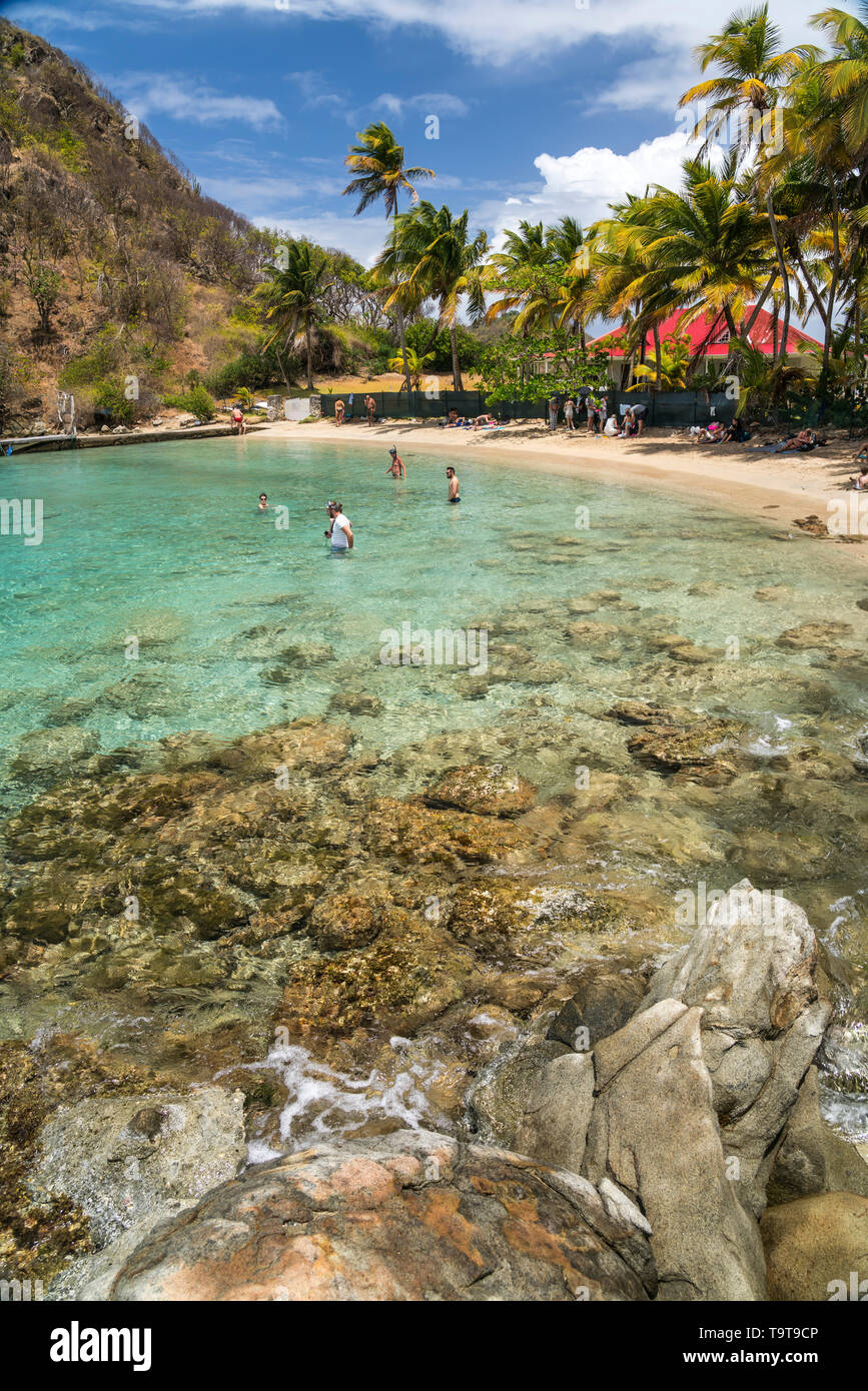 Strand plage du Pain de sucre, île de Terre-de-Haut, Les Saintes, Guadeloupe, Caraïbes, Frankreich | Plage du Pain de sucre, plage de Terre-de-Haut, Les Banque D'Images