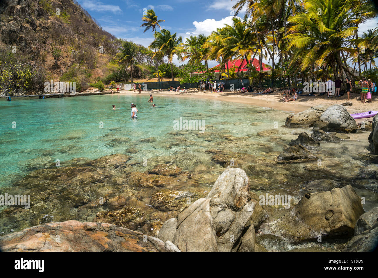 Strand plage du Pain de sucre, île de Terre-de-Haut, Les Saintes, Guadeloupe, Caraïbes, Frankreich | Plage du Pain de sucre, plage de Terre-de-Haut, Les Banque D'Images