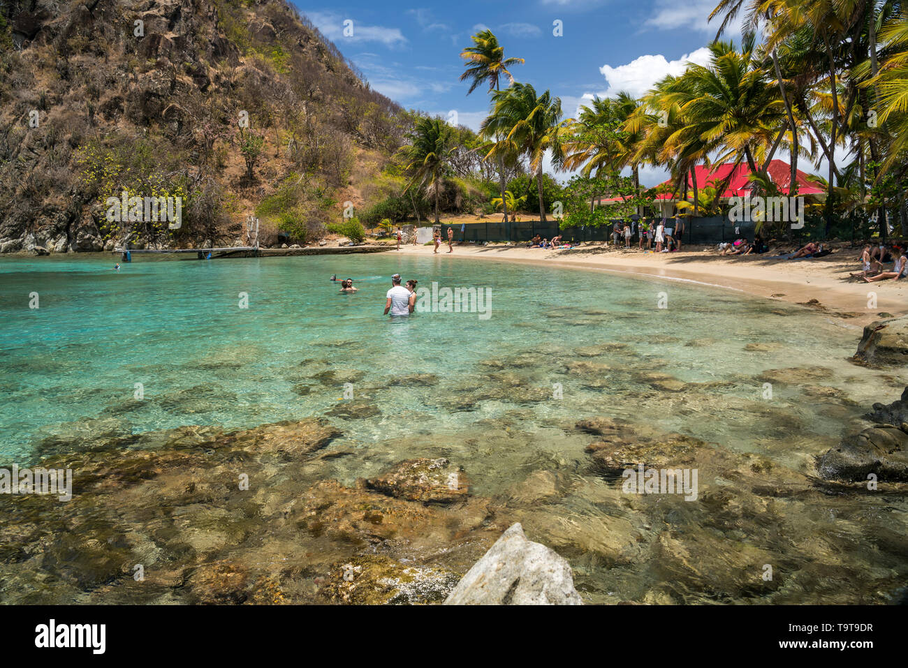 Strand plage du Pain de sucre, île de Terre-de-Haut, Les Saintes, Guadeloupe, Caraïbes, Frankreich | Plage du Pain de sucre, plage de Terre-de-Haut, Les Banque D'Images