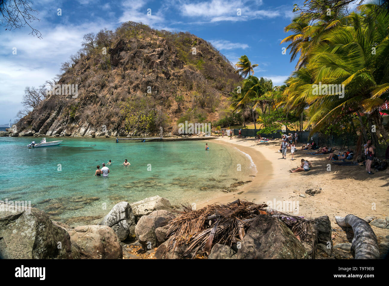 Strand plage du Pain de sucre, île de Terre-de-Haut, Les Saintes, Guadeloupe, Caraïbes, Frankreich | Plage du Pain de sucre, plage de Terre-de-Haut, Les Banque D'Images