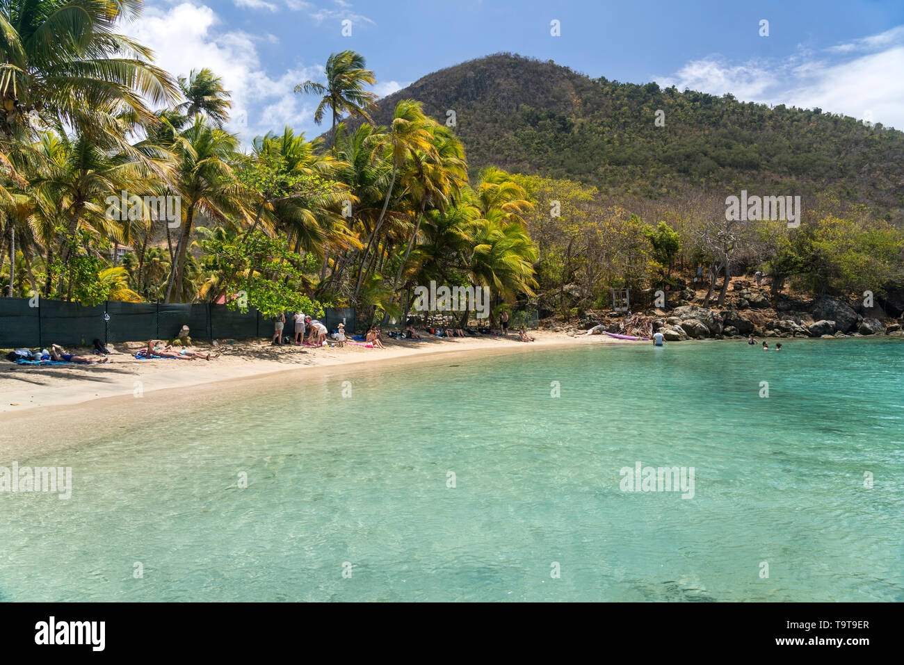 Strand plage du Pain de sucre, île de Terre-de-Haut, Les Saintes, Guadeloupe, Caraïbes, Frankreich | Plage du Pain de sucre, plage de Terre-de-Haut, Les Banque D'Images