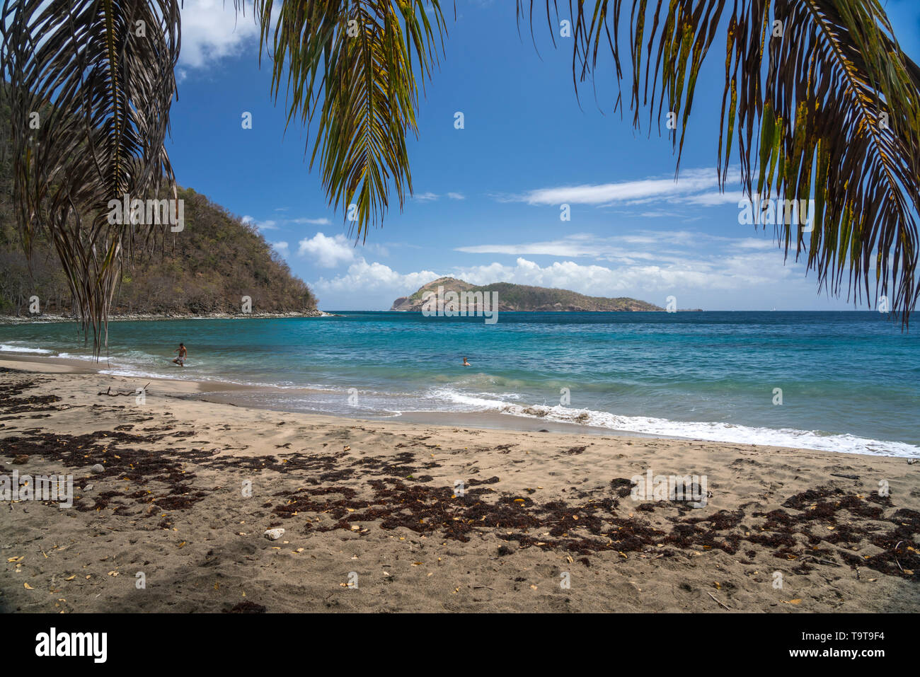 Strand Anse Crawen, Insel Terre-de-Haut, Les Saintes, Guadeloupe, Caraïbes, Frankreich | Anse Crawen plage, Terre-de-Haut, Les Saintes, Guadeloupe, Banque D'Images