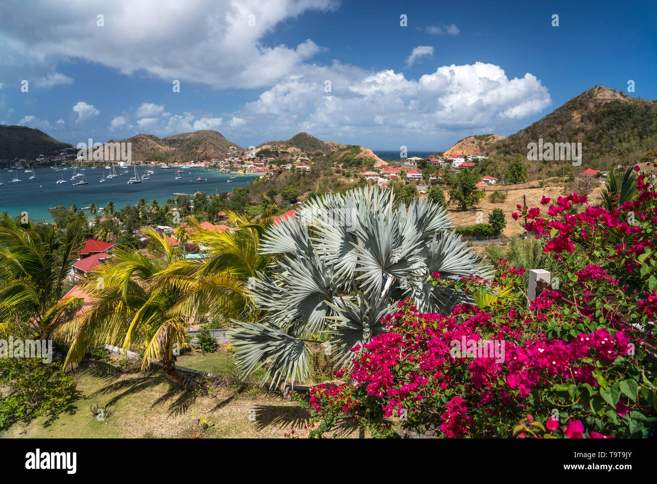 Insel Terre-de-Haut, Les Saintes, Guadeloupe, Caraïbes, Frankreich | Terre-de-Haut, Les Saintes, Guadeloupe, France Banque D'Images