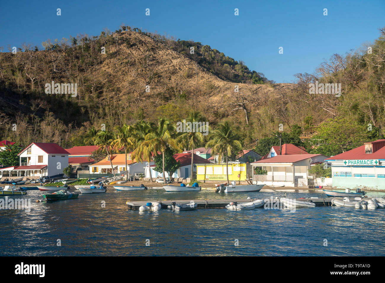 Strand Anse Mire, Insel Terre-de-Haut, Les Saintes, Guadeloupe, Caraïbes, Frankreich | Anse Mire plage, Terre-de-Haut, Les Saintes, Guadeloupe, Franc Banque D'Images