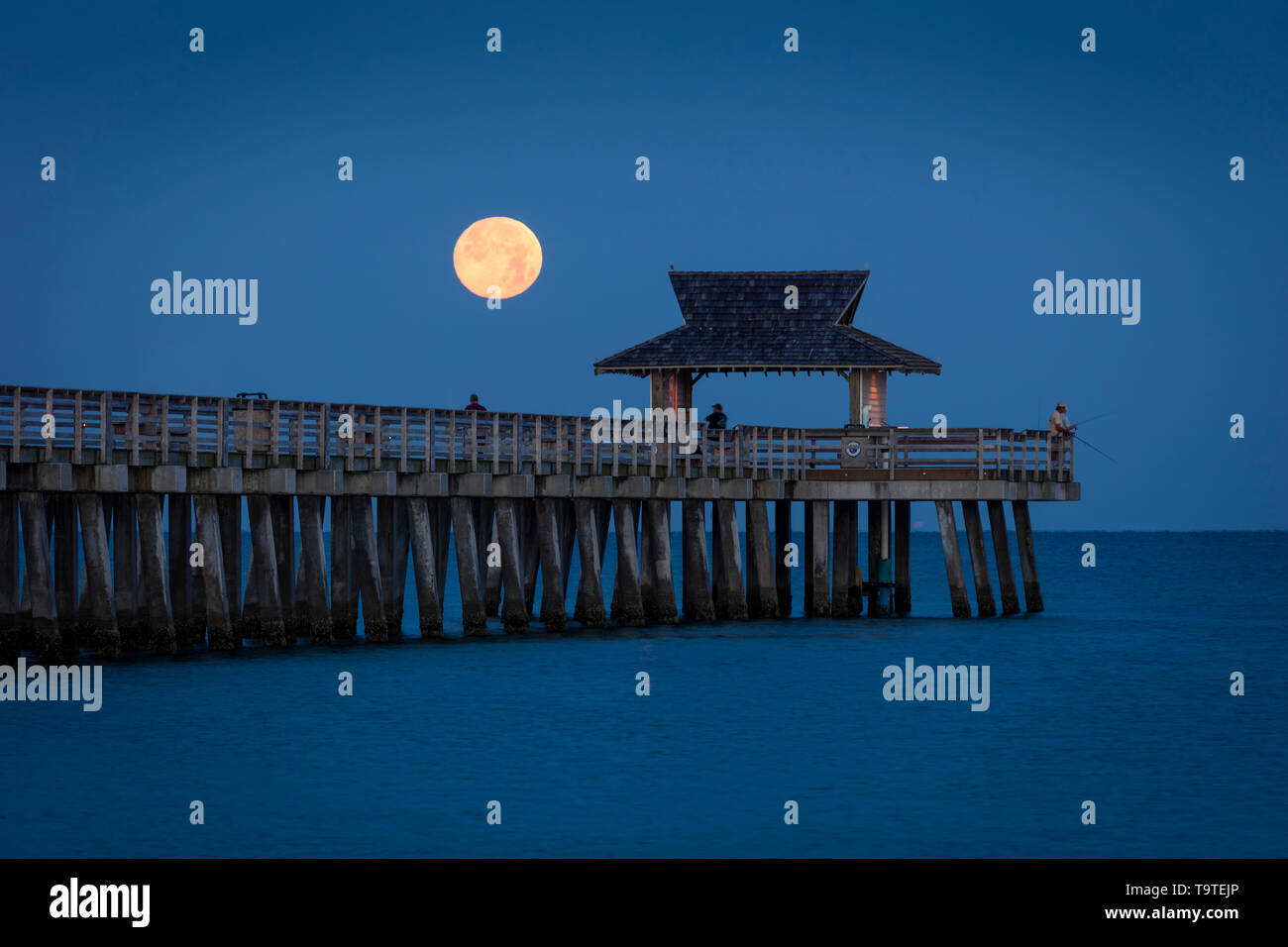 Régler la Pleine Lune et au début de l'aube sur la jetée de Naples, Naples, Florida, USA Banque D'Images