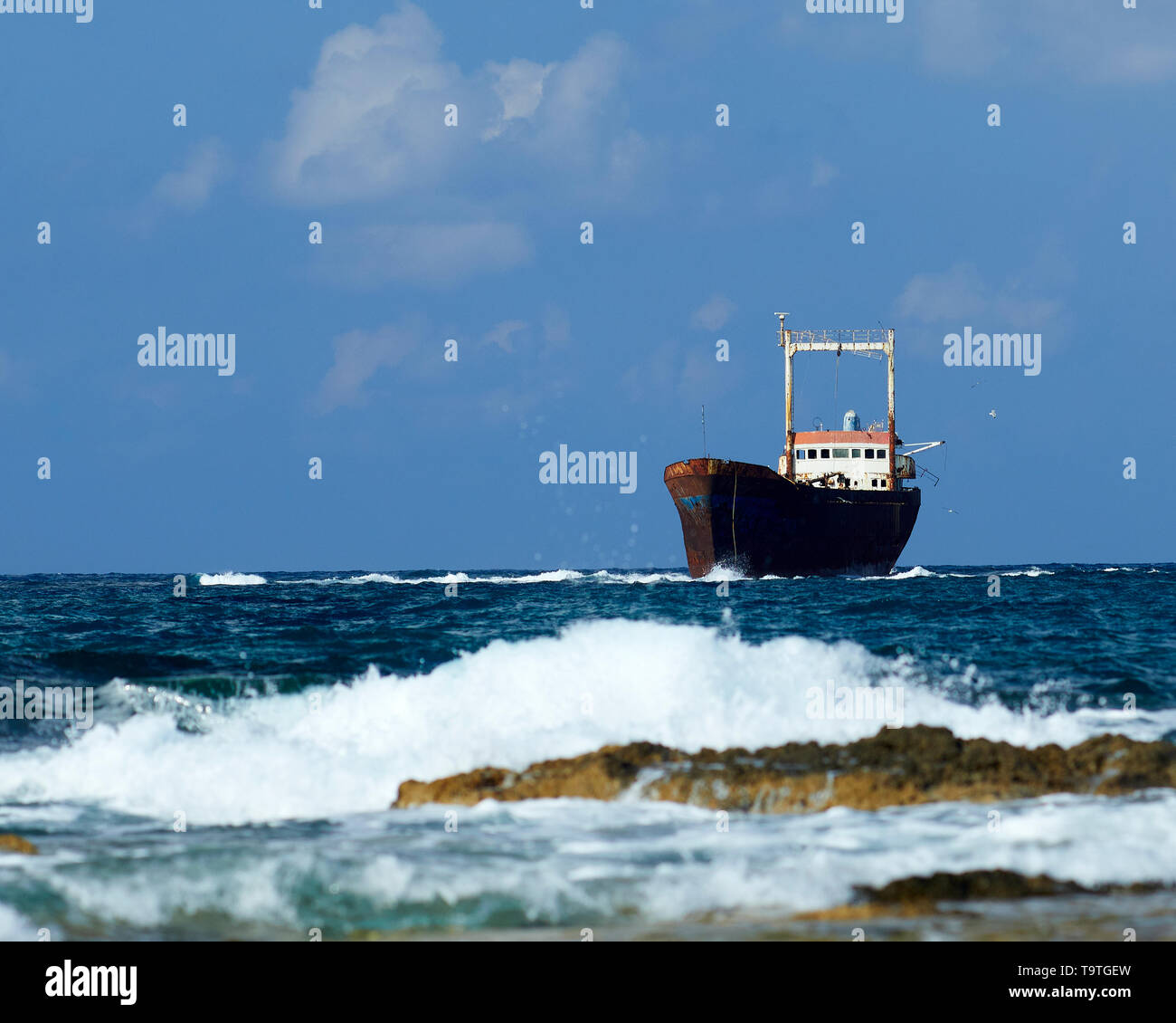 Des naufragés MV Demetrios II, Chypre Banque D'Images