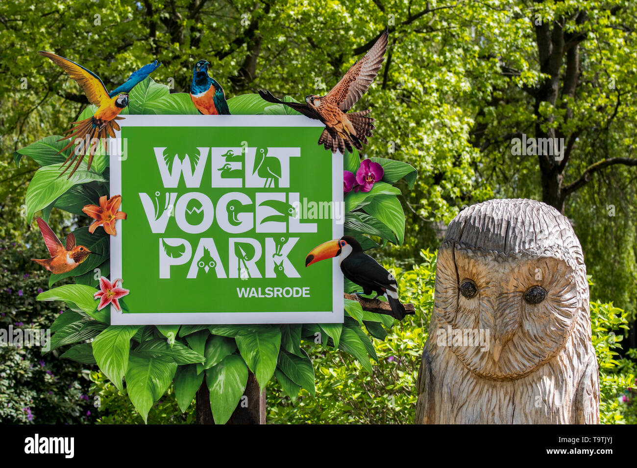 Weltvogelpark Walsrode / Walsrode Bird Park, plus grand parc d'oiseaux dans le monde à Bomlitz, Basse-Saxe, Allemagne Banque D'Images