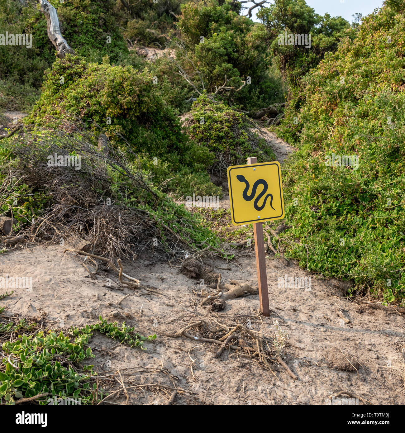 Méfiez-vous des serpents Signe, dunes de sable, Tasmanie, Australie Banque D'Images