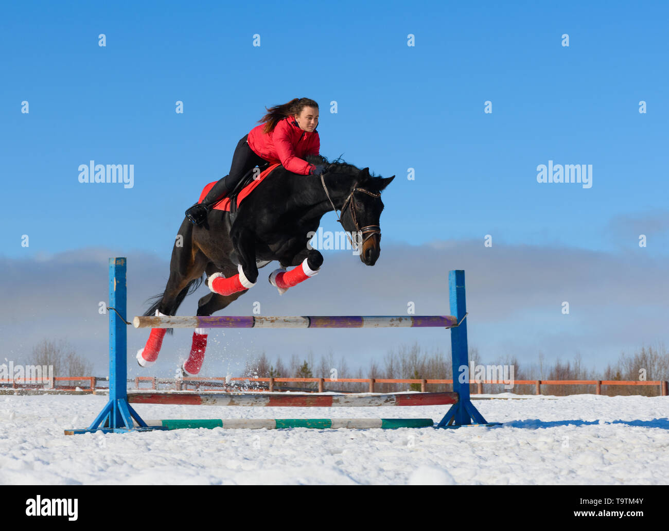 La cavalière du Caucase est de surmonter l'obstacle avec un cheval noir en hiver. Banque D'Images