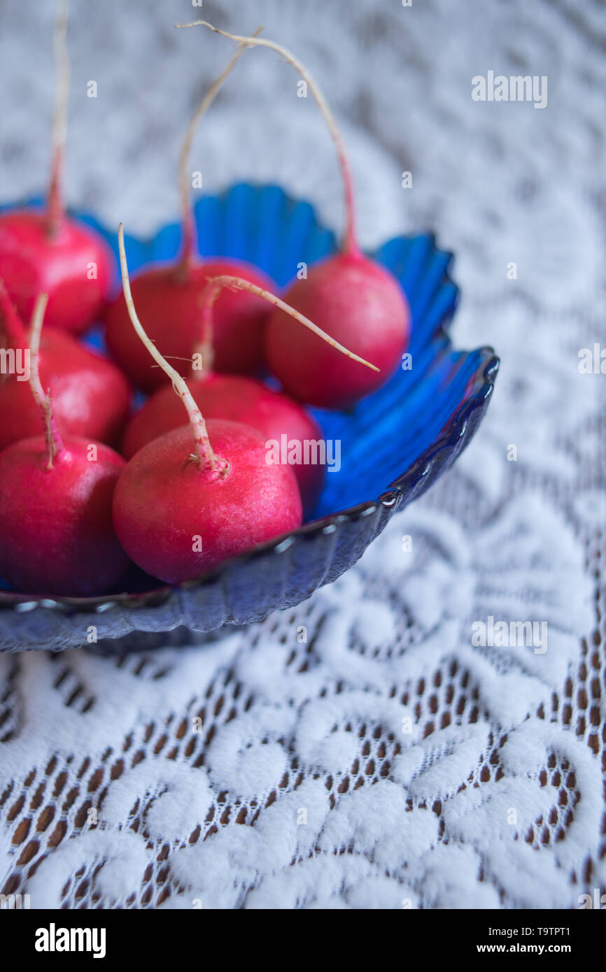 Les radis frais mûrs dans un saladier en verre bleu sur une belle nappe blanche avec motif délicat. Banque D'Images
