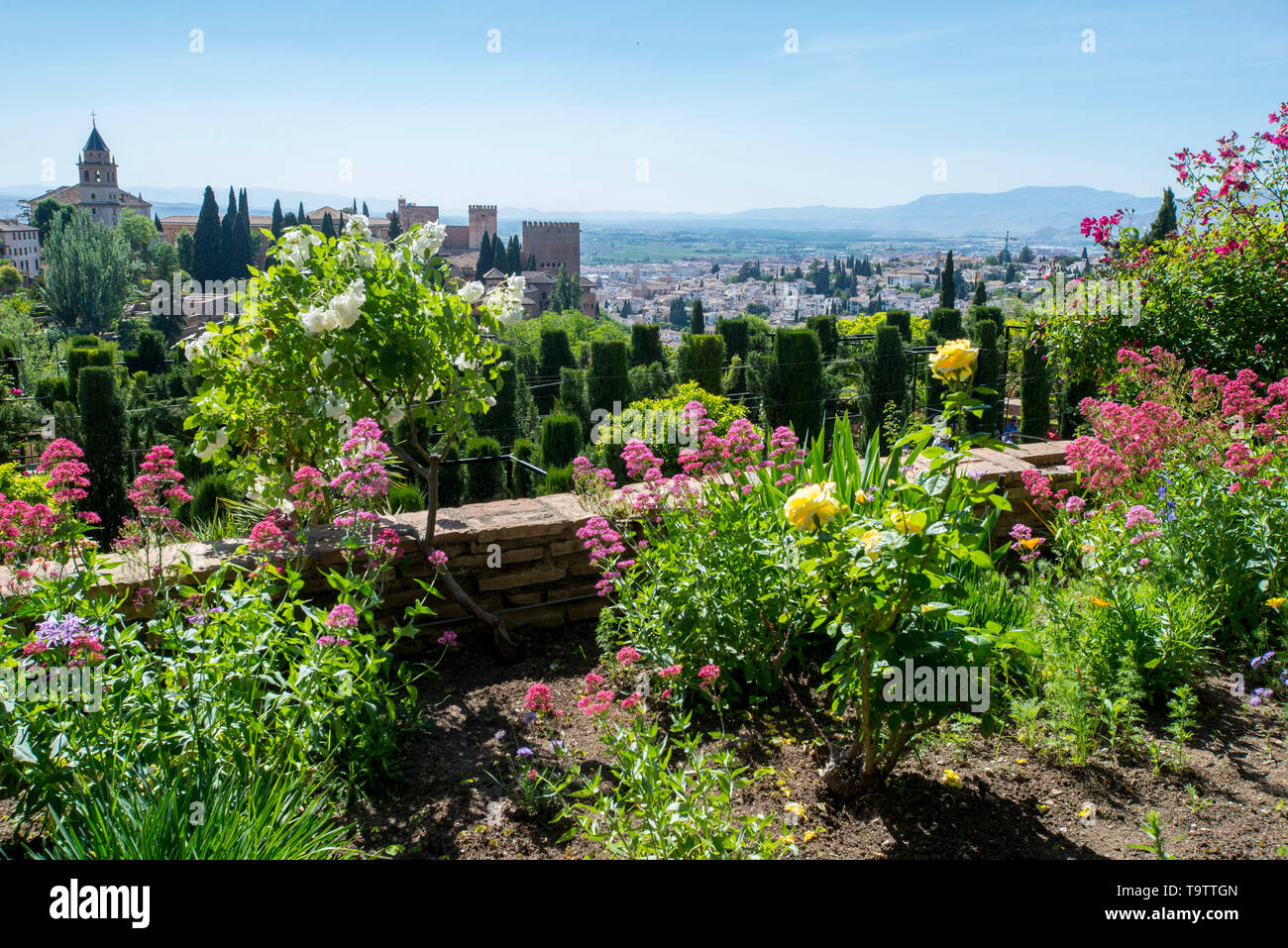 L'Alhambra vu des jardins de palais Nasrides. Banque D'Images