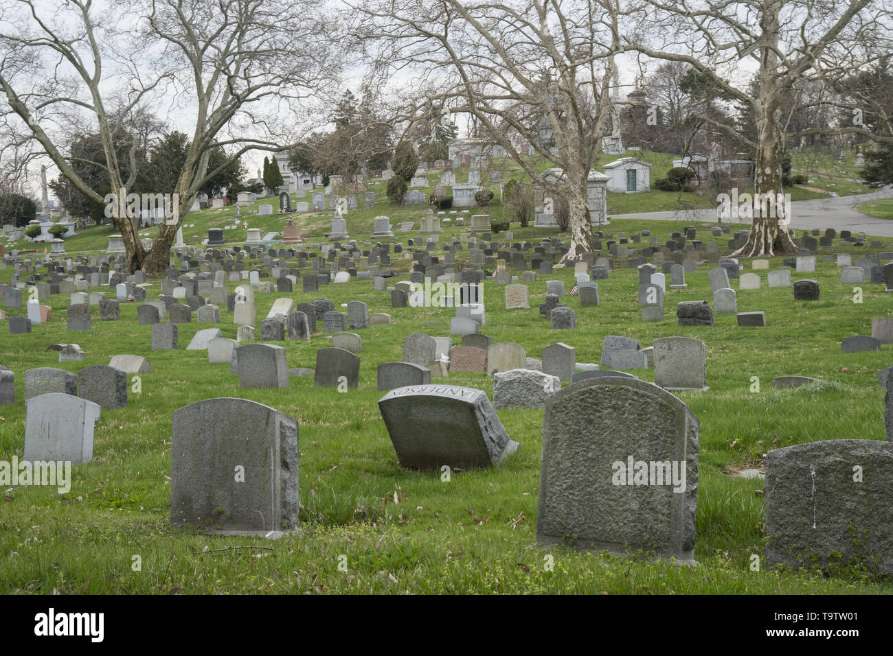 Vert-bois Cemetery est un cimetière de Brooklyn, New York City, fondé en 1838 comme un cimetière rural. Comme d'autres cimetières ruraux, Vert-bois a été fondée à une époque de l'urbanisation rapide lorsque churchyards à New York étaient devenus surpeuplés. (Mélange d'anciens et nouveaux des pierres tombales) Banque D'Images