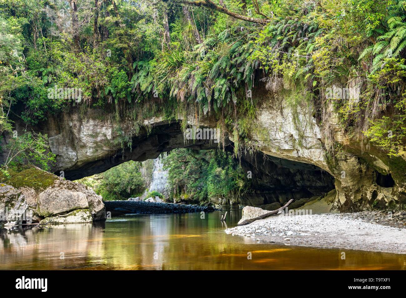 Moria Gate Arch, calcaire naturel tunnel, sur la rivière Oparara arch rock, bassin Oparara, Kahurangi National Park, Karamea, région de la côte ouest, au Sud Banque D'Images