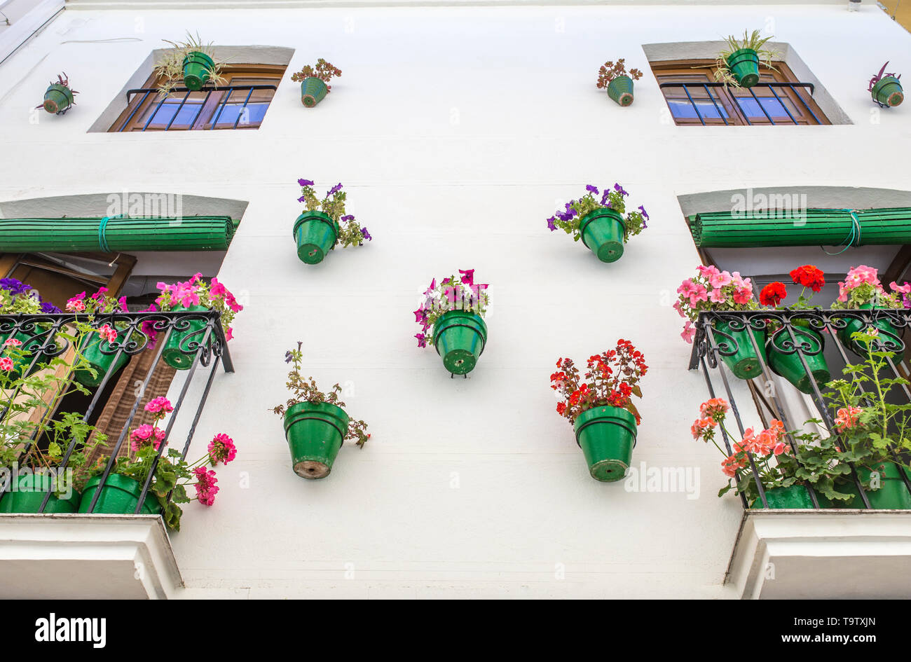 Façade de maison pleine de pots de fleurs vert. Arrière-plan de l'architecture andalouse typique Banque D'Images