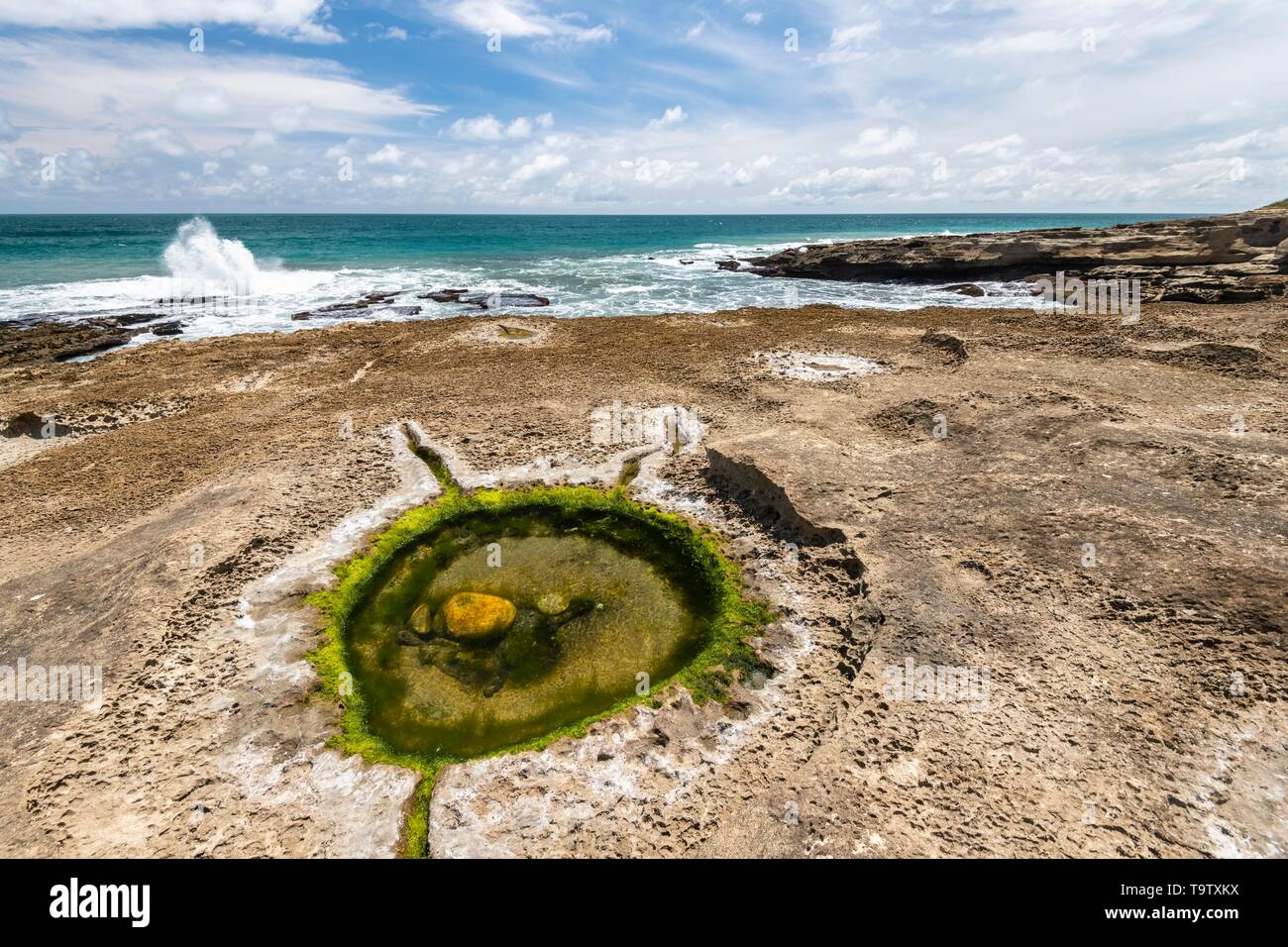 Bassin de marée sur la côte rocheuse de Paparoa National Park, région de la côte ouest, île du Sud, Nouvelle-Zélande Banque D'Images