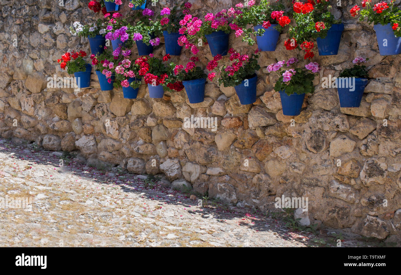Mur de pierre plein de pots de fleurs bleu attaché. Arrière-plan de l'architecture andalouse typique Banque D'Images