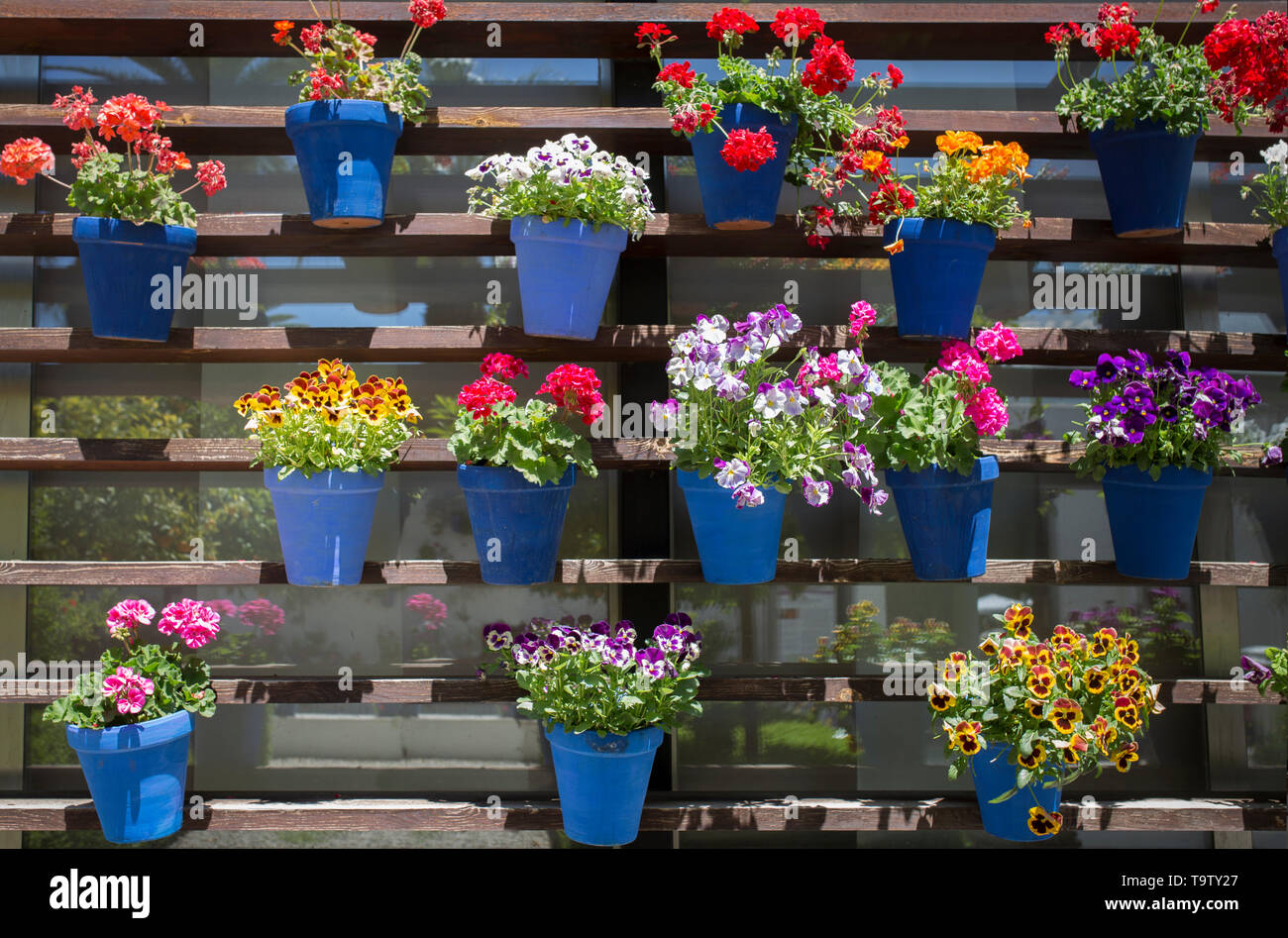 Jardin Vertical plein de pots de fleur de géranium. De style andalou traditionnel et moderne Banque D'Images