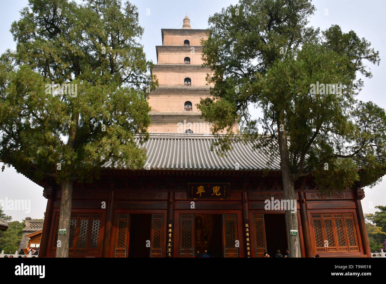 Daci'en Temple komplex, Dàcí'ēn Sì, Giant Wild Goose Pagoda ou Big Wild Goose Pagoda, Dàyàn tǎ, Xi'an, Hszian, Chine, Asie, Site du patrimoine mondial de l'UNESCO Banque D'Images