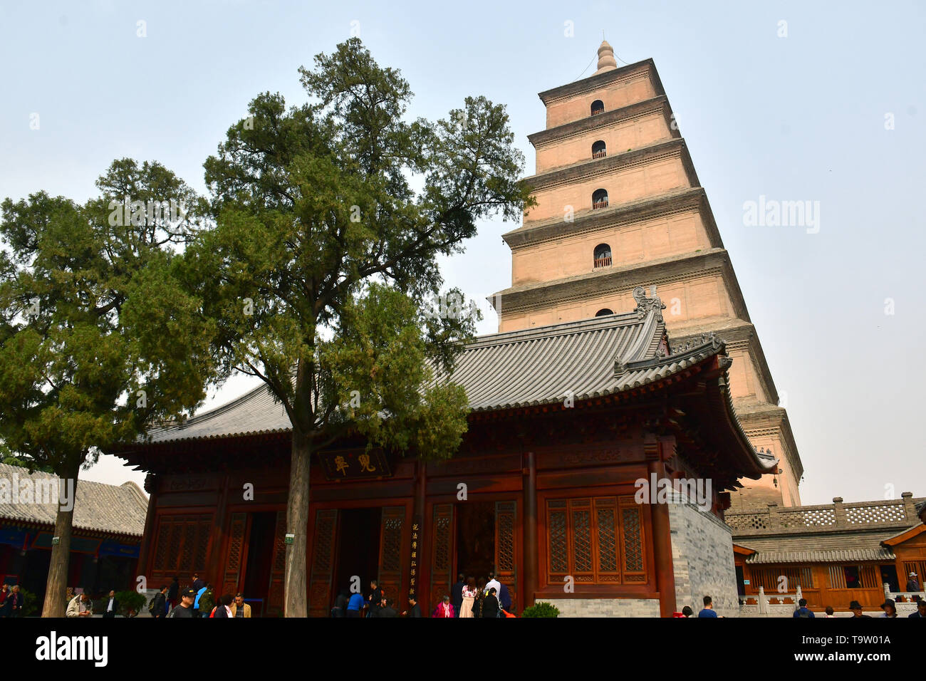 Daci'en Temple komplex, Dàcí'ēn Sì, Giant Wild Goose Pagoda ou Big Wild Goose Pagoda, Dàyàn tǎ, Xi'an, Hszian, Chine, Asie, Site du patrimoine mondial de l'UNESCO Banque D'Images