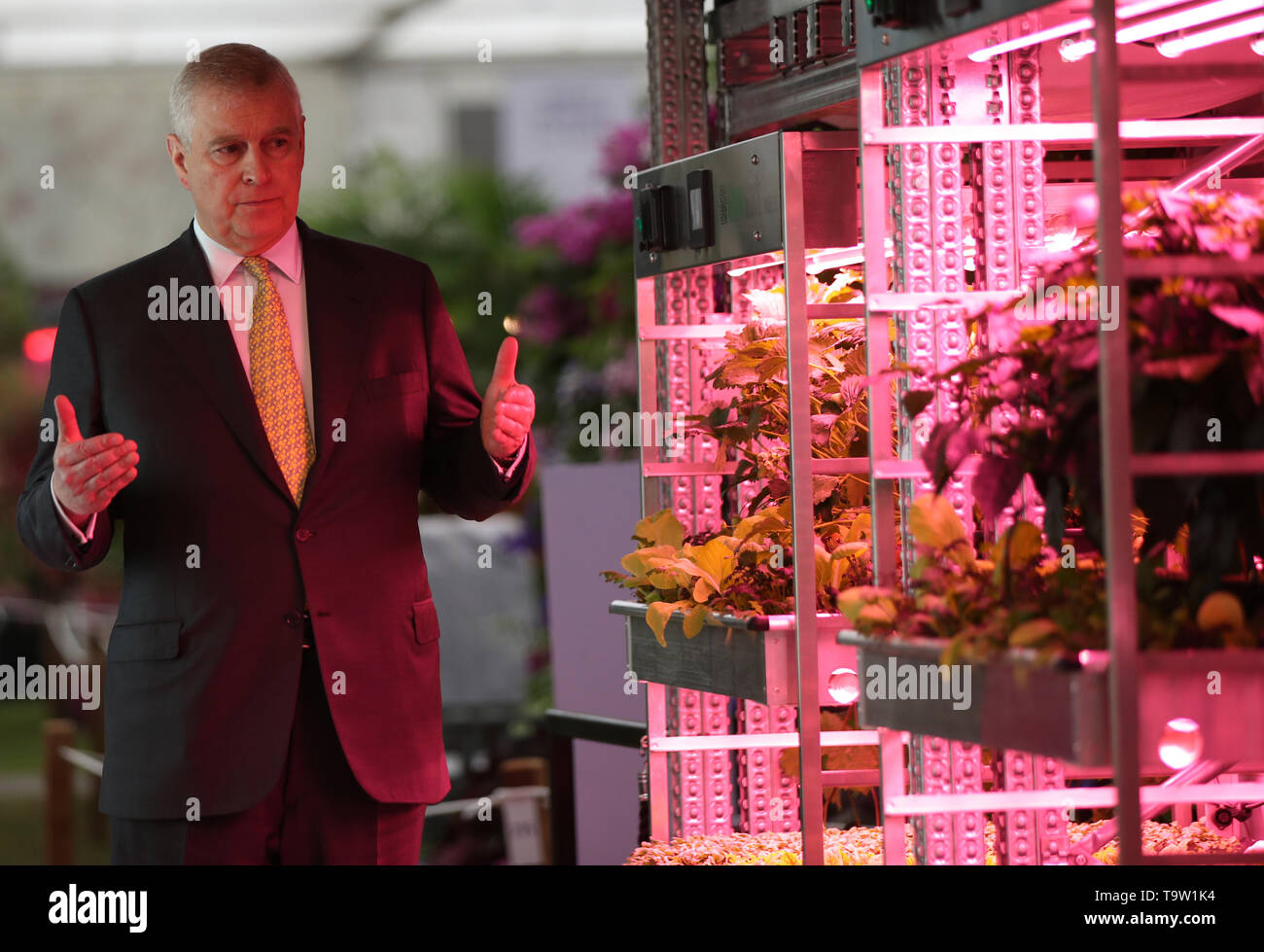 Le duc d'York se rendant sur le IKEA et Tom Dixon sauvera le monde Jardinage Jardin à la RHS Chelsea Flower Show au Royal Hospital Chelsea, Londres. Banque D'Images