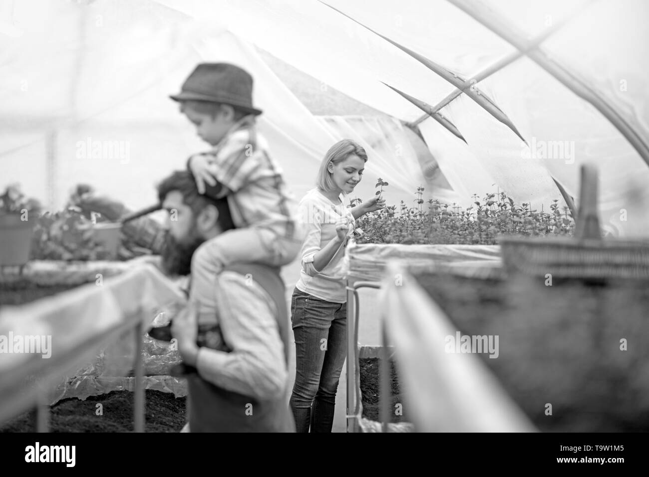 Jolie blonde dame en rose cardigan planter des fleurs avec peu de jardinage chat. Homme barbu vue côté holding kid in hat sur ses épaules en floue Banque D'Images