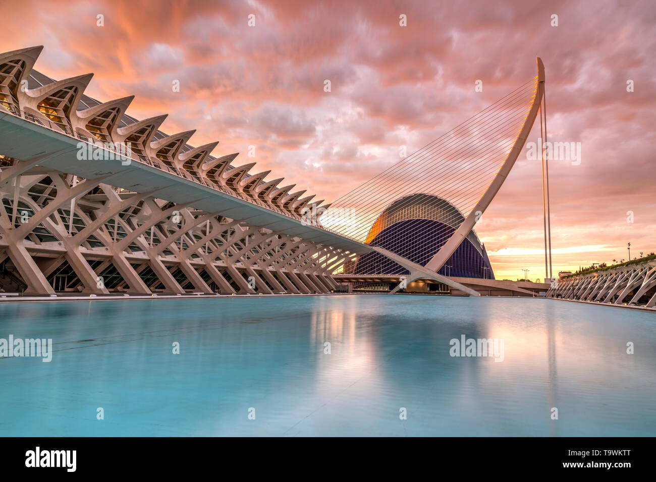 Pont de l'assaut de l'ou pont à haubans, Cité des Arts et des sciences ou Ciudad de las Artes y las Ciencias, Valencia, Comunidad Valenciana, Espagne Banque D'Images