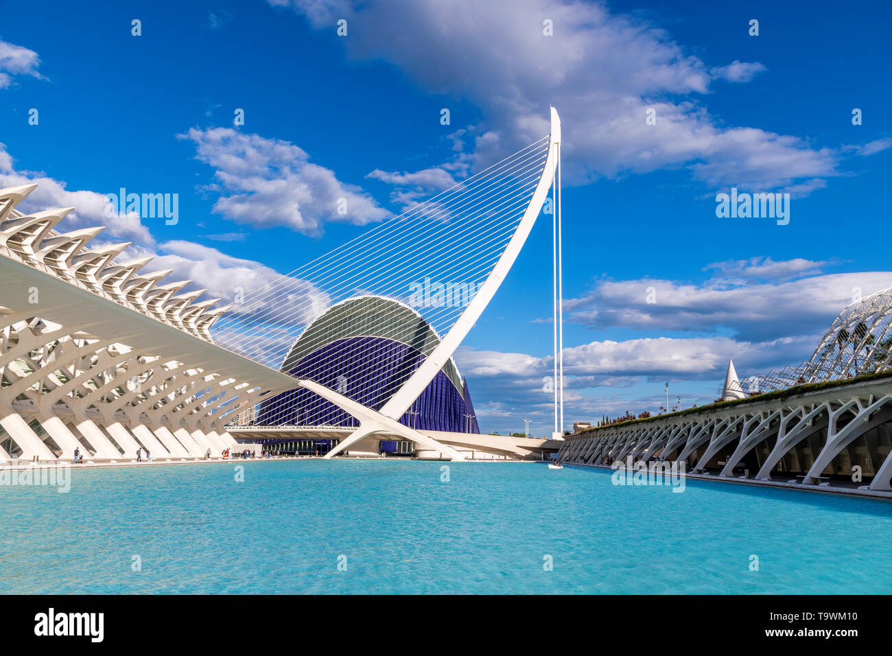 Pont de l'assaut de l'ou pont à haubans, Cité des Arts et des sciences ou Ciudad de las Artes y las Ciencias, Valencia, Comunidad Valenciana, Espagne Banque D'Images