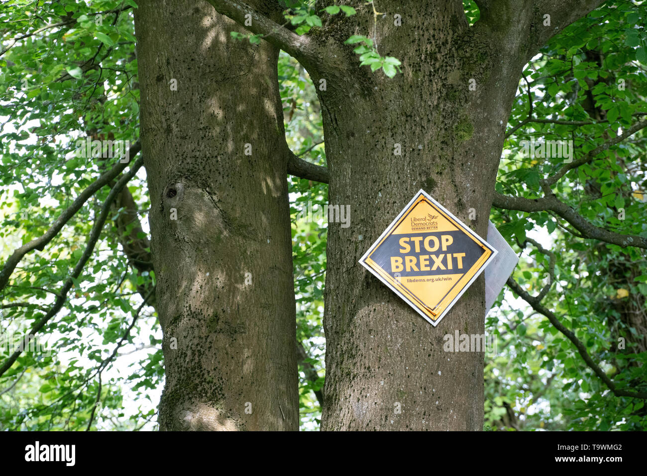 Brexit Stop ! Banque D'Images