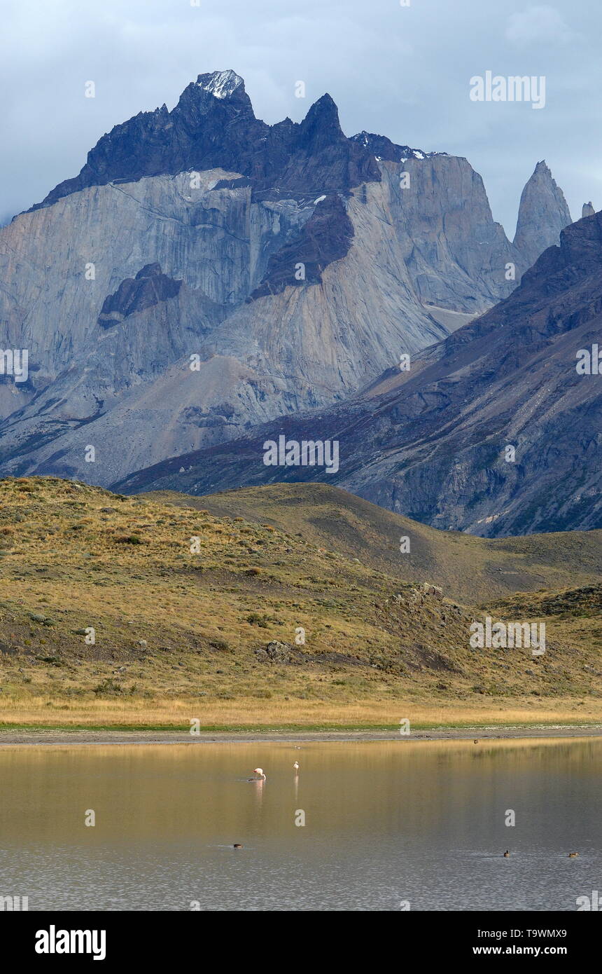 Des paysages de montagne DANS LE PARC NATIONAL TORRES DEL PAINE, Chili. Banque D'Images