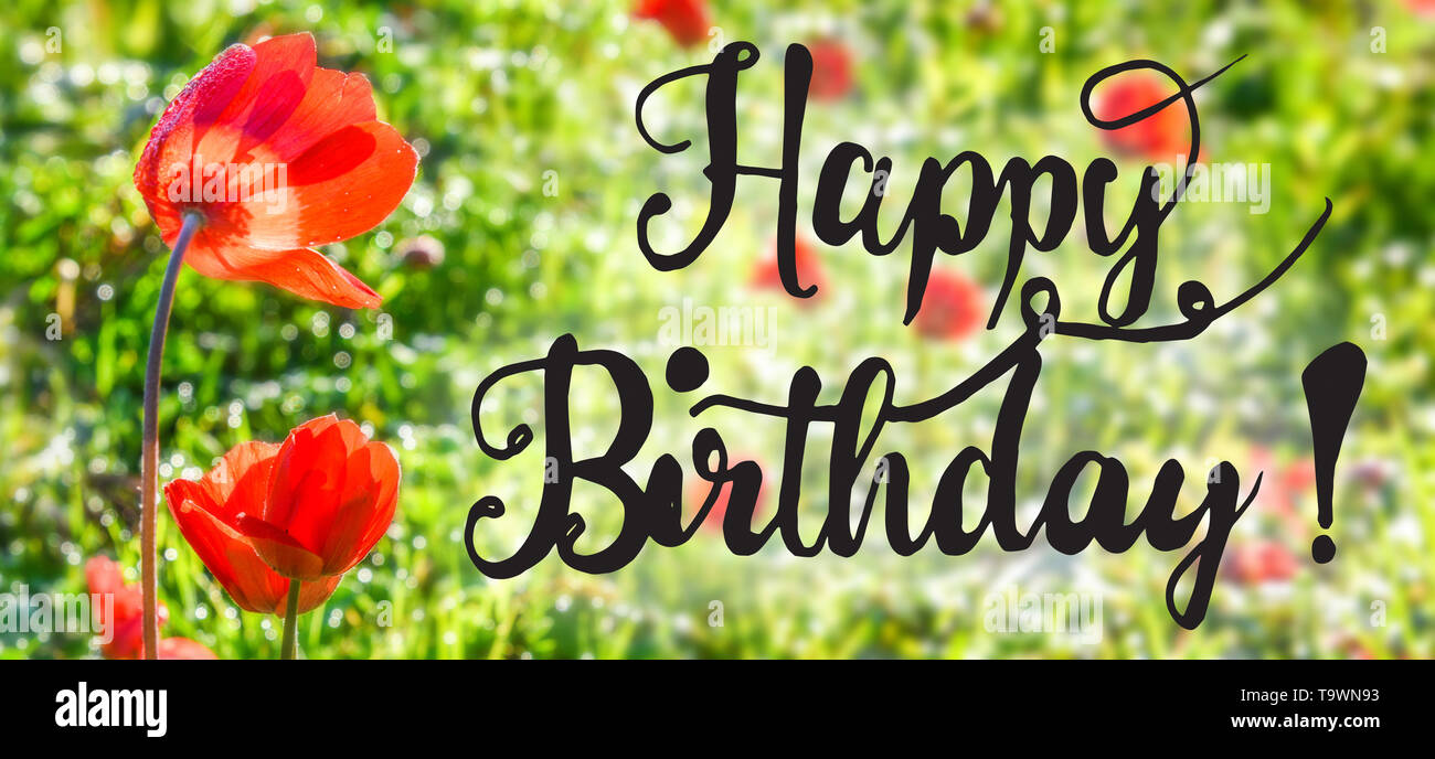 Joyeux Anniversaire Calligraphie Anglaise Rouge Coquelicot Prairie Carte De Vœux De La Saison Du Printemps Ensoleille Photo Stock Alamy