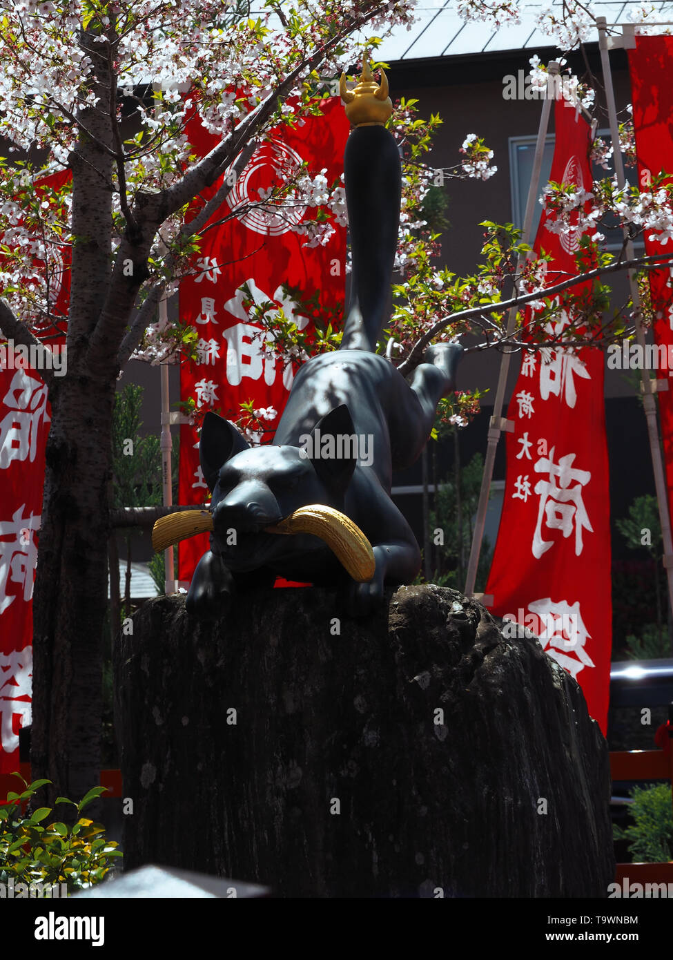L'Inari Kitsune fox statue au fishimi inari à Kyoto Banque D'Images