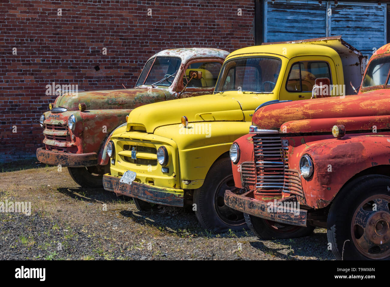 Les camionnettes représentent Dave's vieux camion de collecte de sauvetage dans Sprague, l'État de Washington, USA [pas de biens : disponible uniquement pour les licences d'édition] Banque D'Images