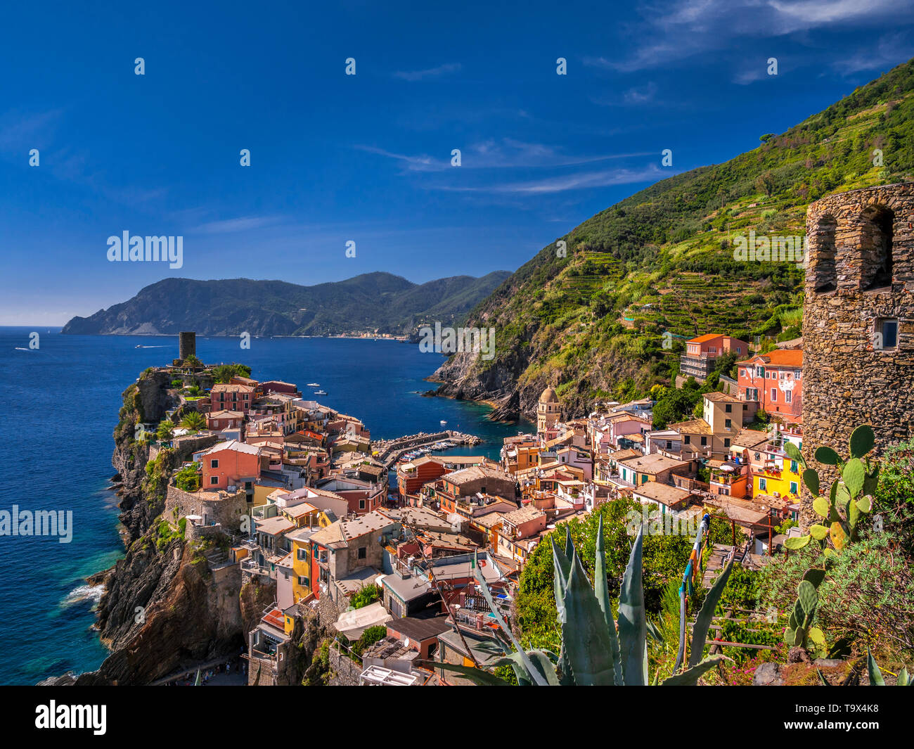 Village de pêcheurs locaux vue Vernazza, du patrimoine culturel mondial de l'UNESCO, les Cinque Terre, Rivera Tu le Levant, province de La Spezia, Ligurie, Italie, Europe Banque D'Images