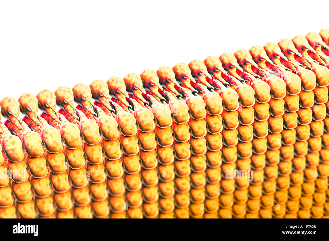 La formation des lipides, matières grasses dans le corps humain. Voir sous le microscope. 3D render Banque D'Images