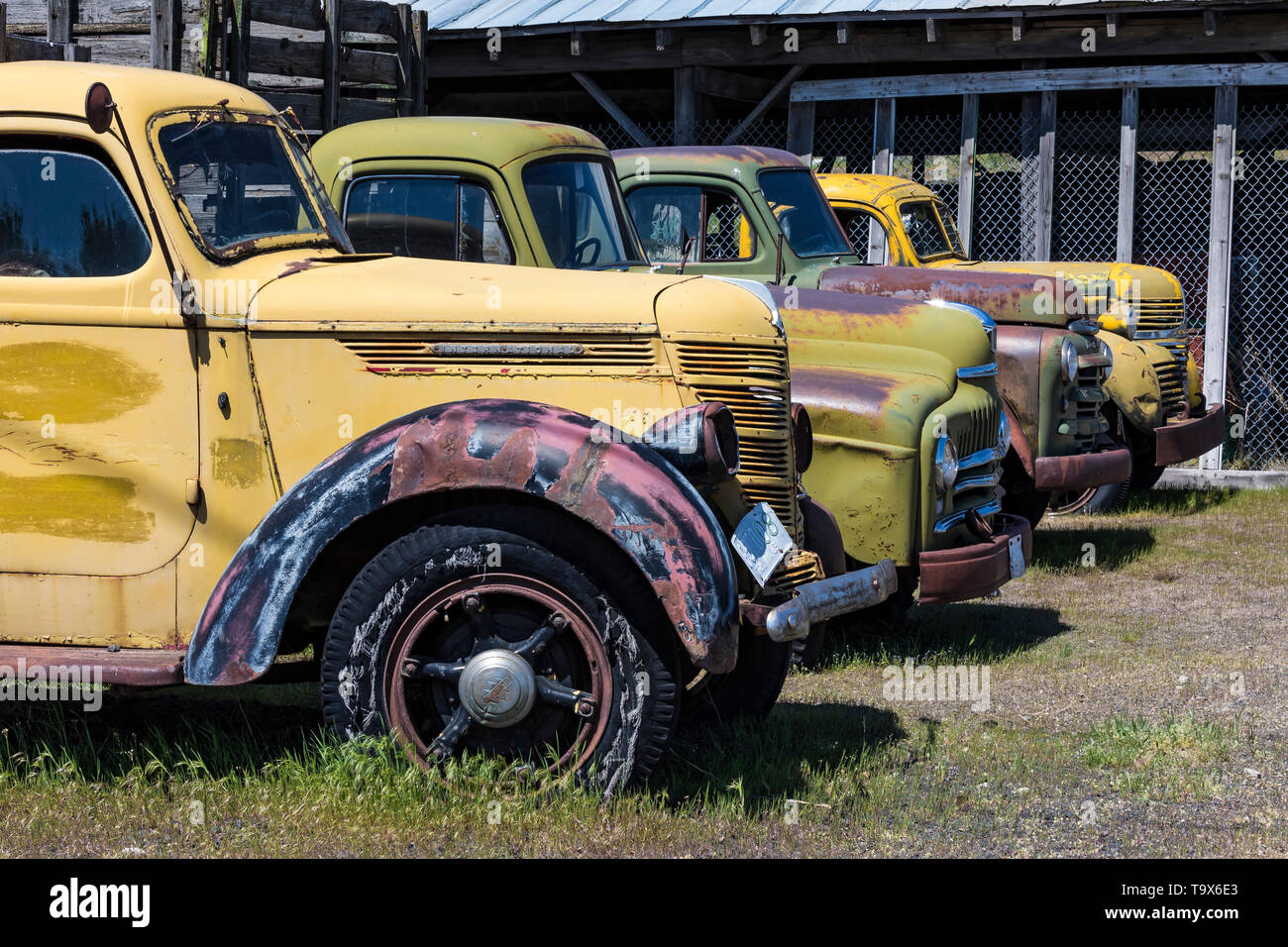 Les camionnettes représentent Dave's vieux camion de collecte de sauvetage dans Sprague, l'État de Washington, USA [pas de biens : disponible uniquement pour les licences d'édition] Banque D'Images