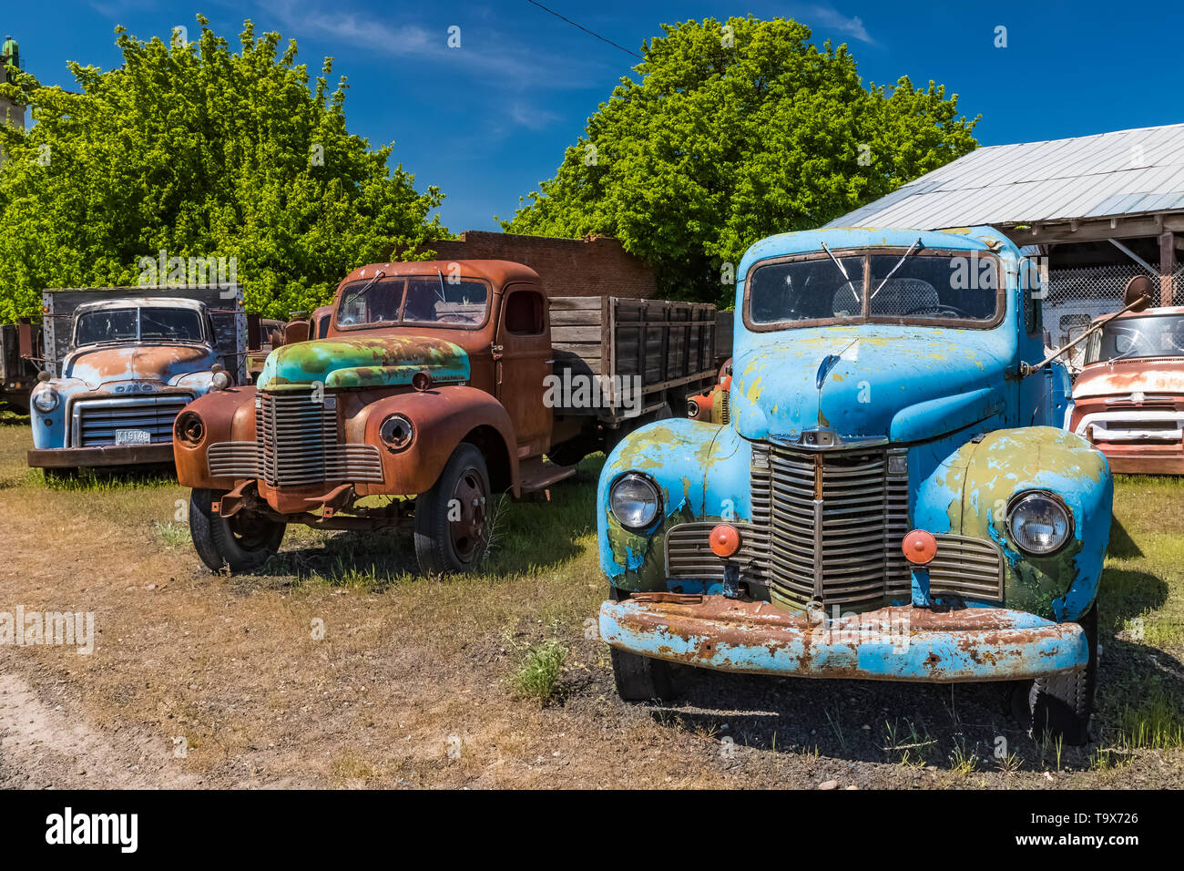 Les camionnettes représentent Dave's vieux camion de collecte de sauvetage dans Sprague, l'État de Washington, USA [pas de biens : disponible uniquement pour les licences d'édition] Banque D'Images